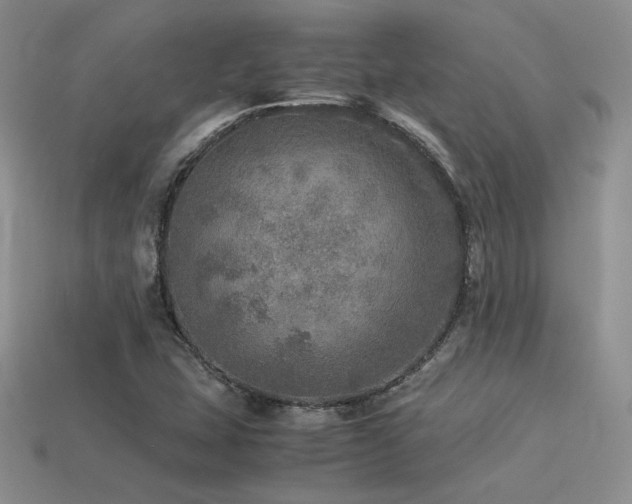 X0000113601407200909181342