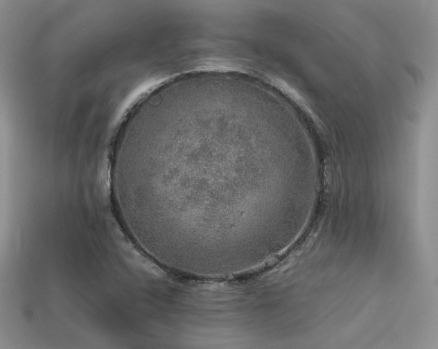 X0000113601408200909181342