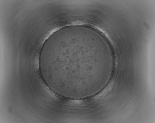 X0000113601409200909181342