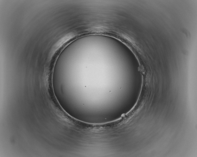 X0000113601410200909181342