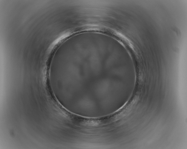 X0000113601411200909181342