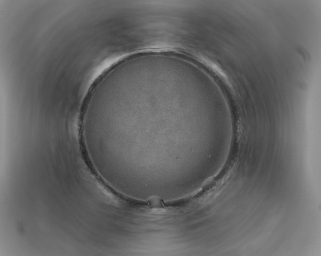 X0000113601412200909181342