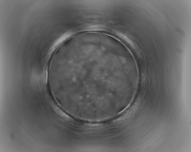 X0000113601413200909181342