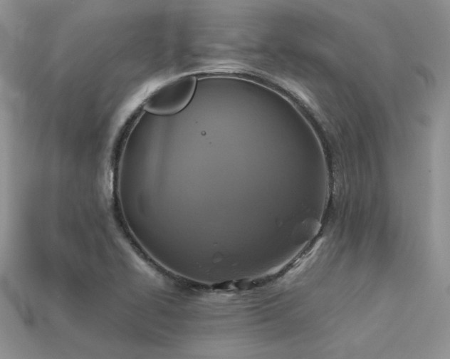 X0000113601414200909181342