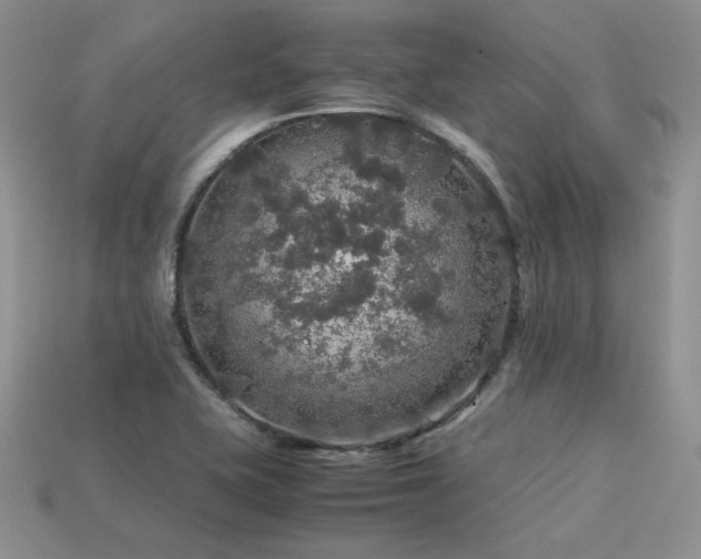 X0000113601415200909181343