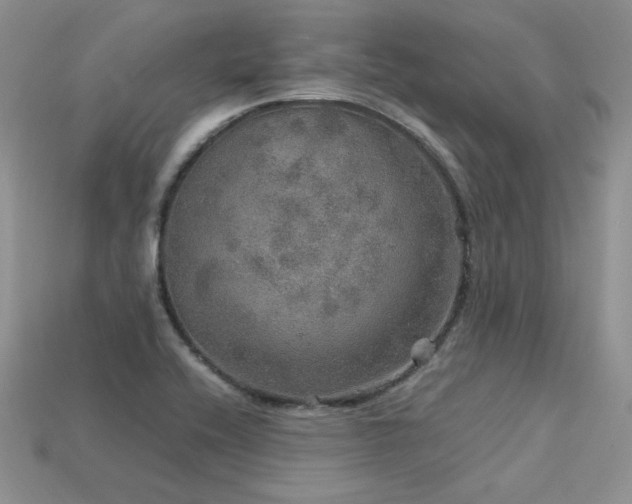 X0000113601416200909181343