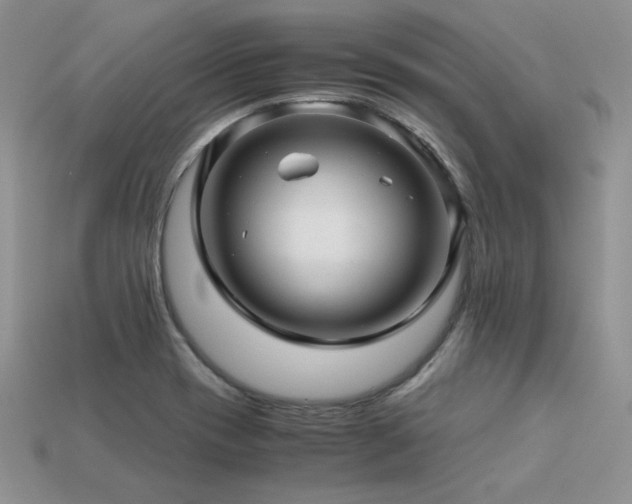 X0000113601417200909181343