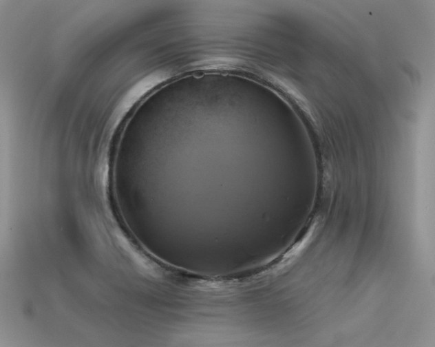 X0000113601418200909181343