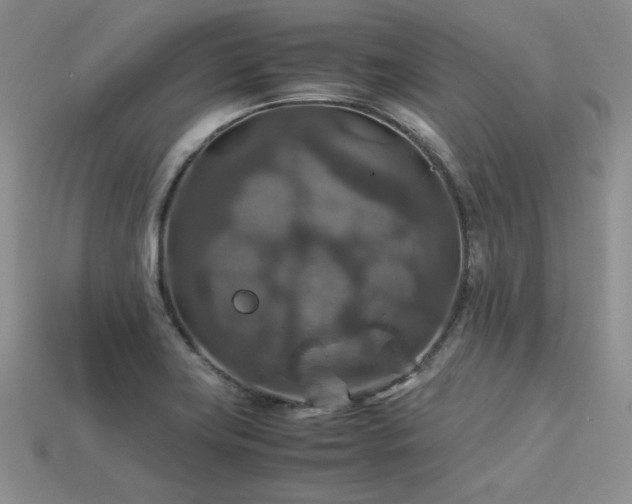 X0000113601419200909181343