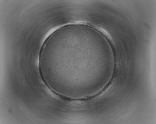 X0000113601420200909181343