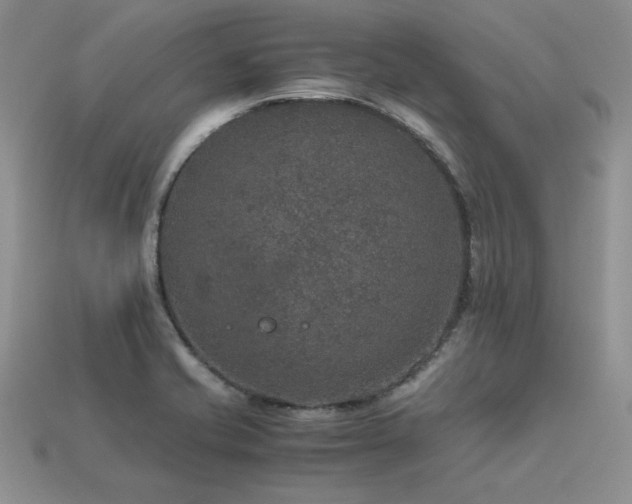 X0000113601421200909181343