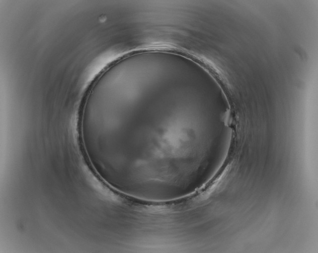 X0000113601422200909181343