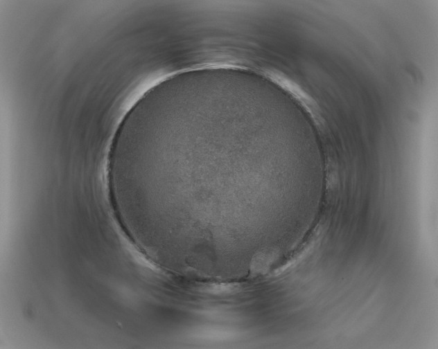 X0000113601423200909181343