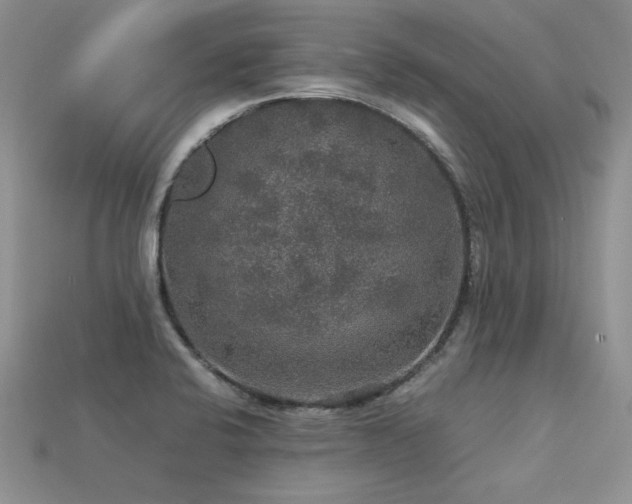 X0000113601424200909181343