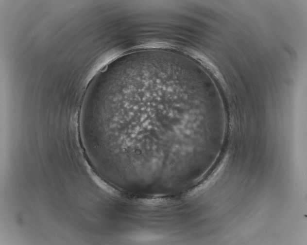 X0000113601425200909181343