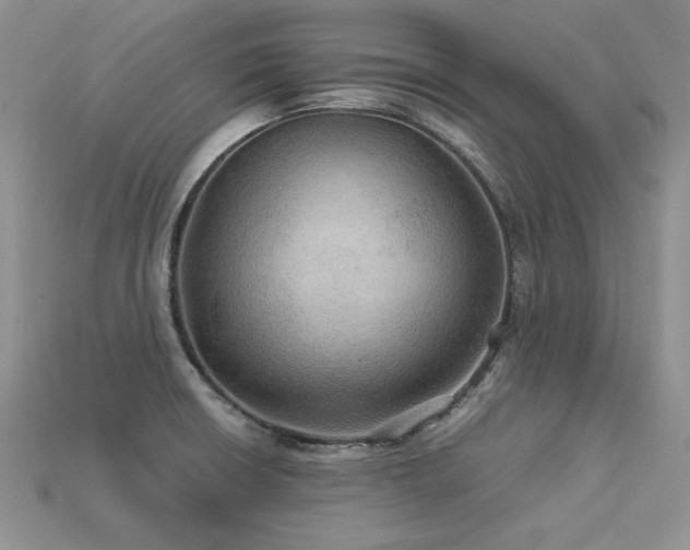 X0000113601426200909181343