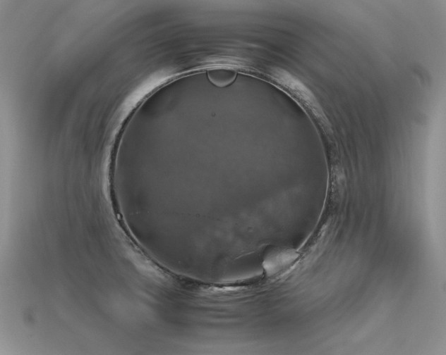 X0000113601427200909181343