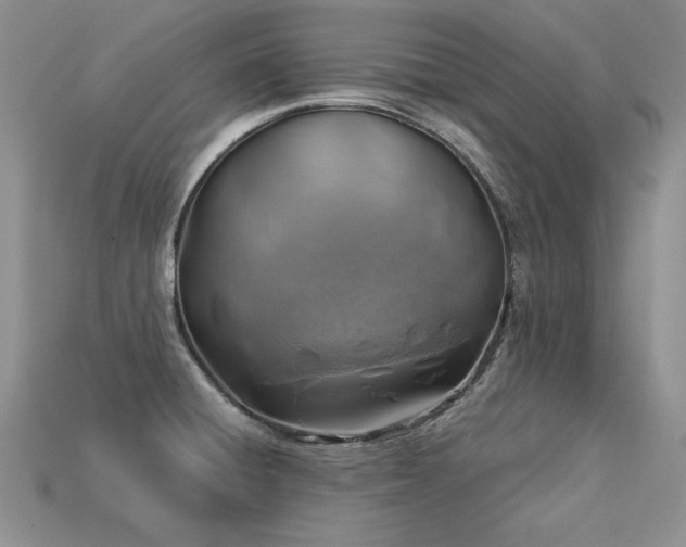 X0000113601428200909181343