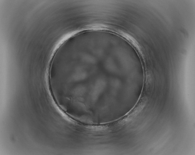 X0000113601429200909181343