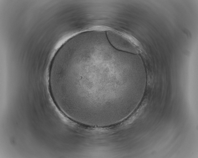 X0000113601430200909181343