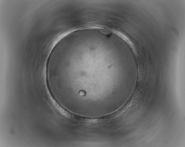 X0000113601431200909181343