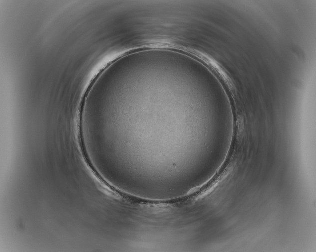 X0000113601432200909181343