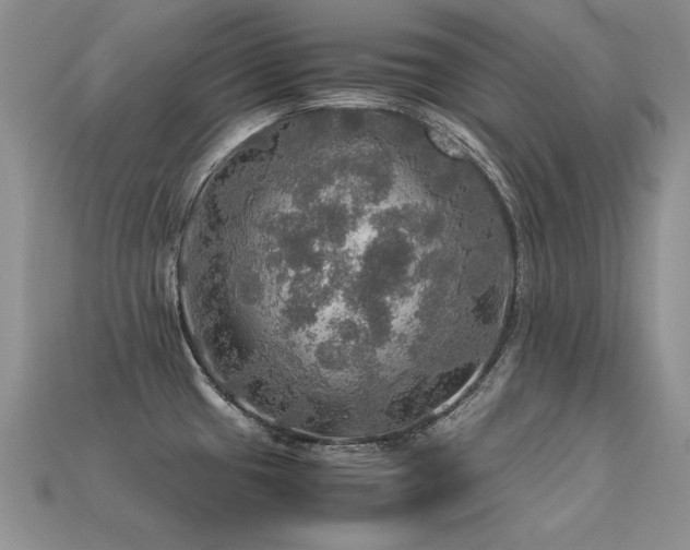 X0000113601433200909181343