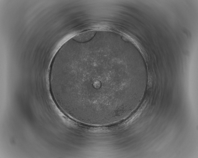 X0000113601434200909181343