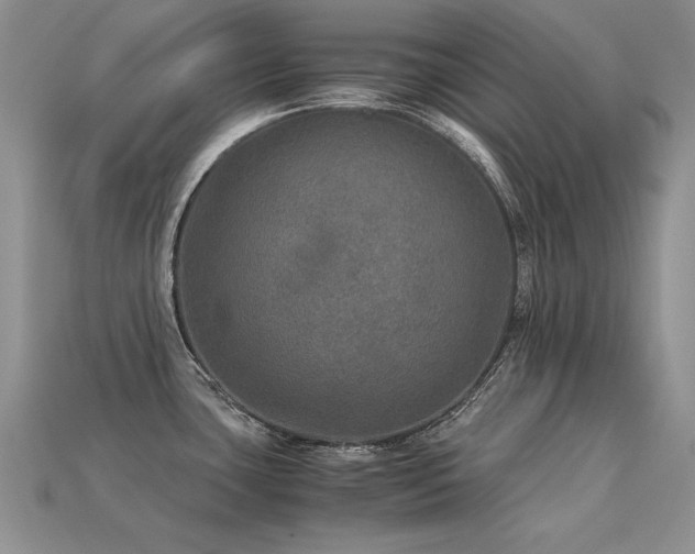 X0000113601435200909181343