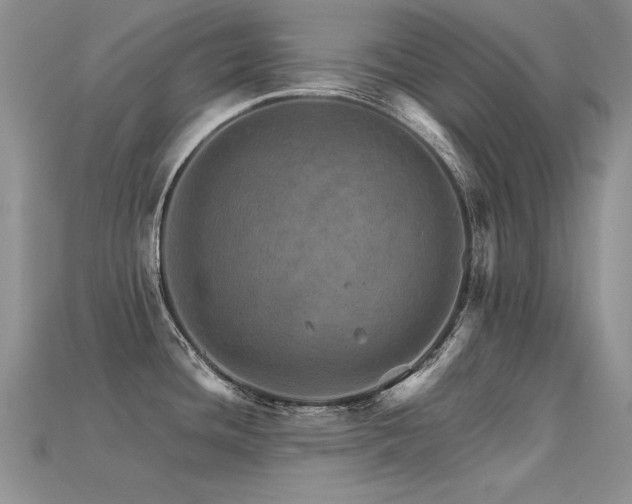 X0000113601436200909181343