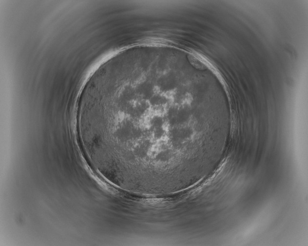 X0000113601437200909181343