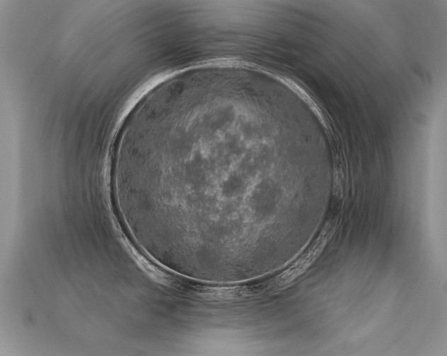 X0000113601438200909181343