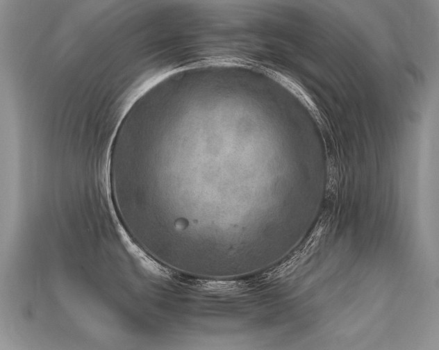 X0000113601439200909181343