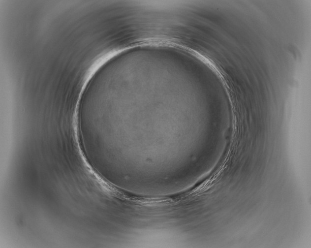 X0000113601440200909181343