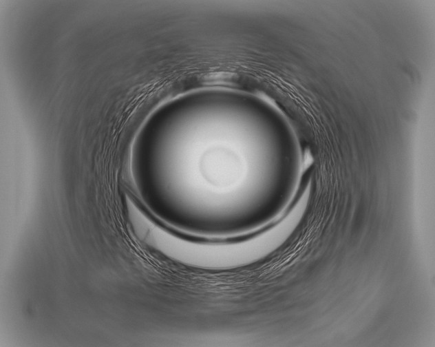 X0000113601441200909181342