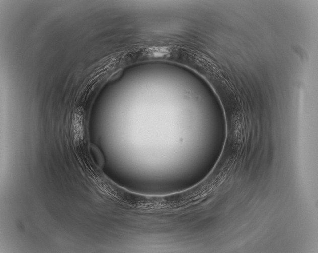 X0000113601442200909181342