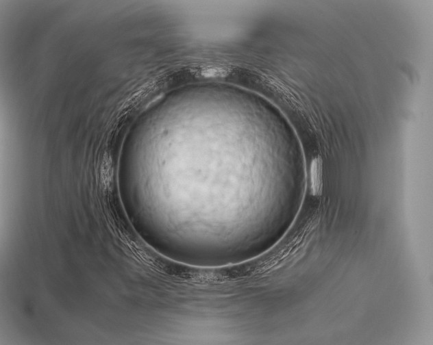 X0000113601443200909181342