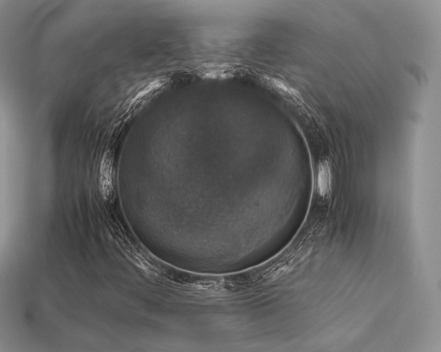 X0000113601444200909181342