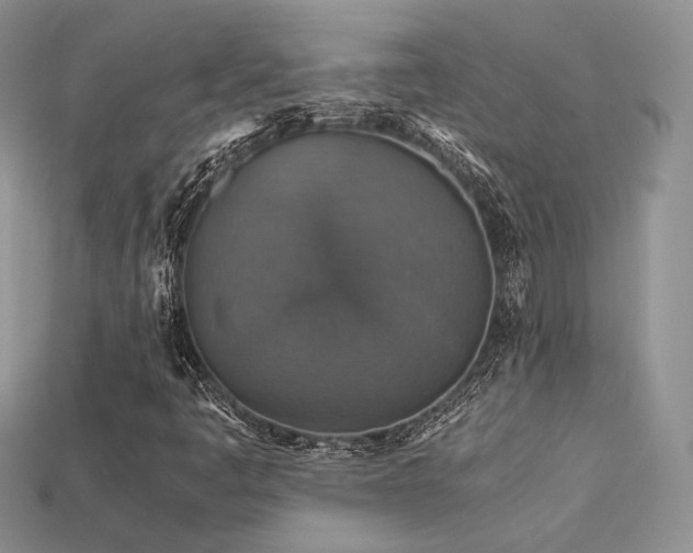 X0000113601445200909181342