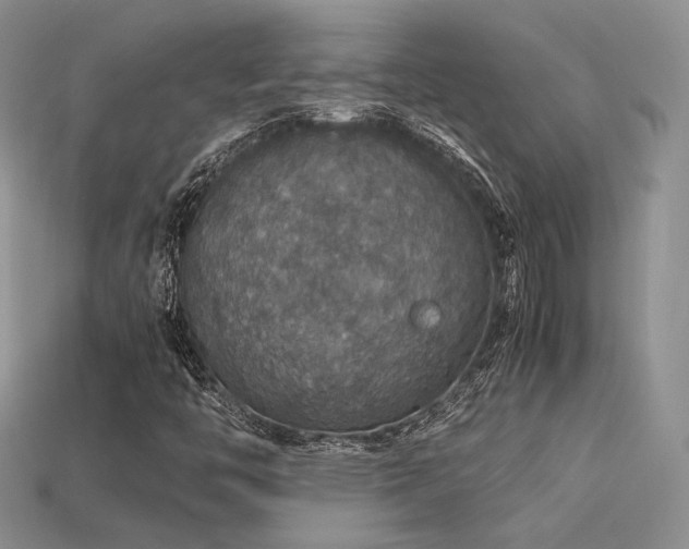 X0000113601446200909181342