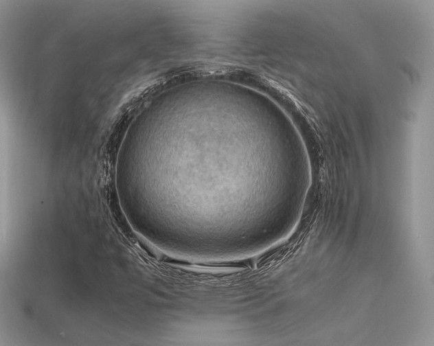 X0000113601447200909181342