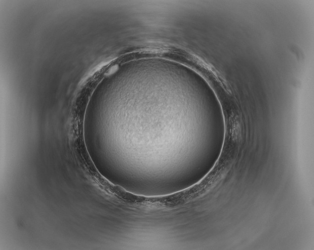 X0000113601448200909181342