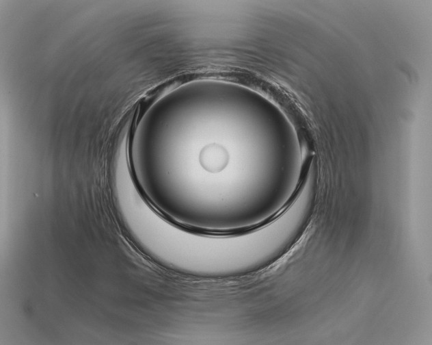 X0000113601449200909181342