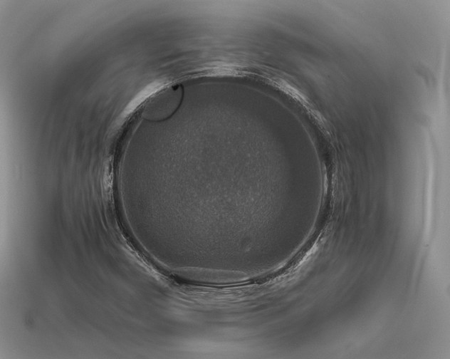 X0000113601450200909181342