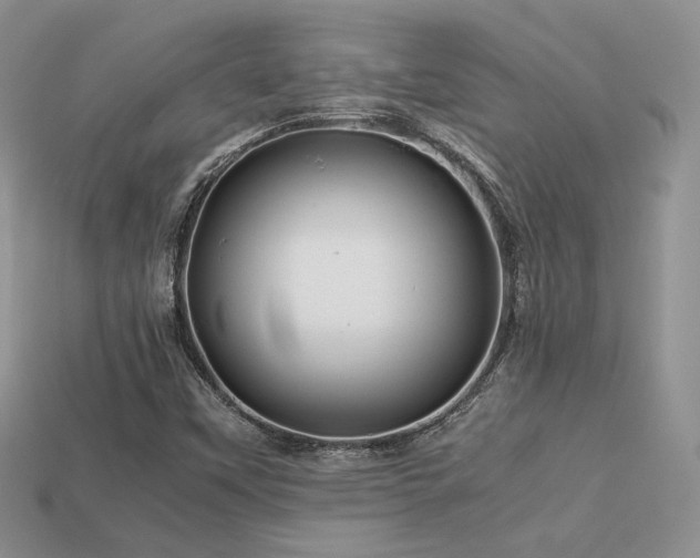 X0000113601451200909181342