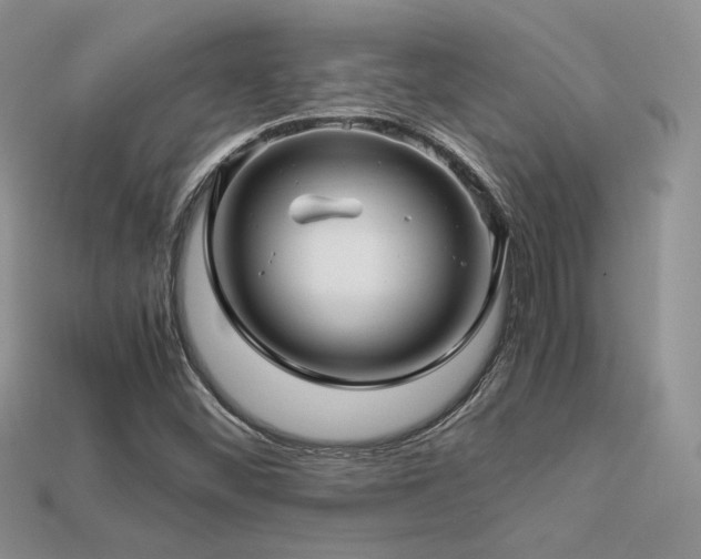 X0000113601452200909181342