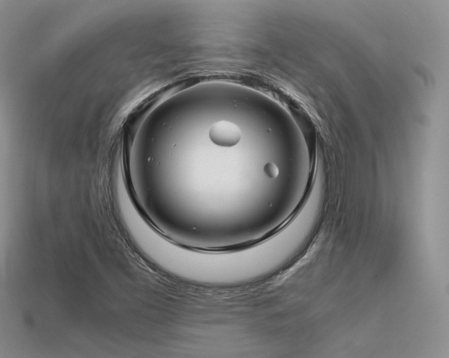 X0000113601453200909181342