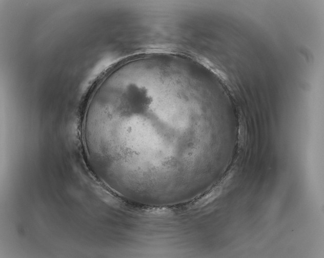 X0000113601454200909181342