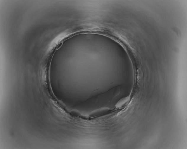 X0000113601455200909181342