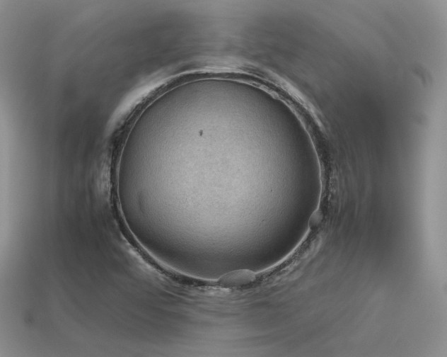 X0000113601456200909181342